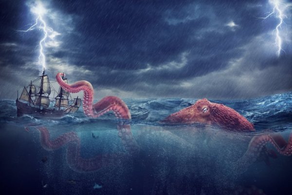 Kraken forum