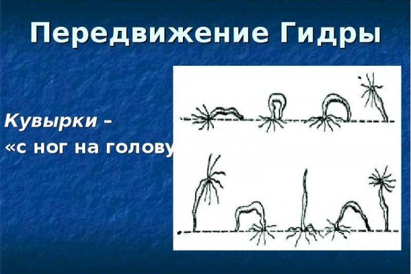 Кракен ссылка настоящая